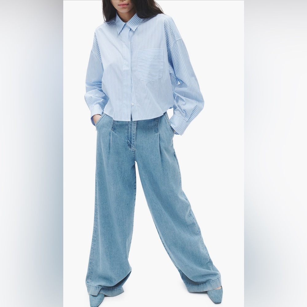 Rag and Bone Abigale Featherweight Pleated High Waisted wide leg jeans sz 30 NWT